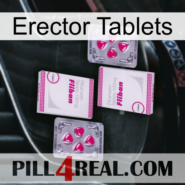 Erector Tablets 33.jpg